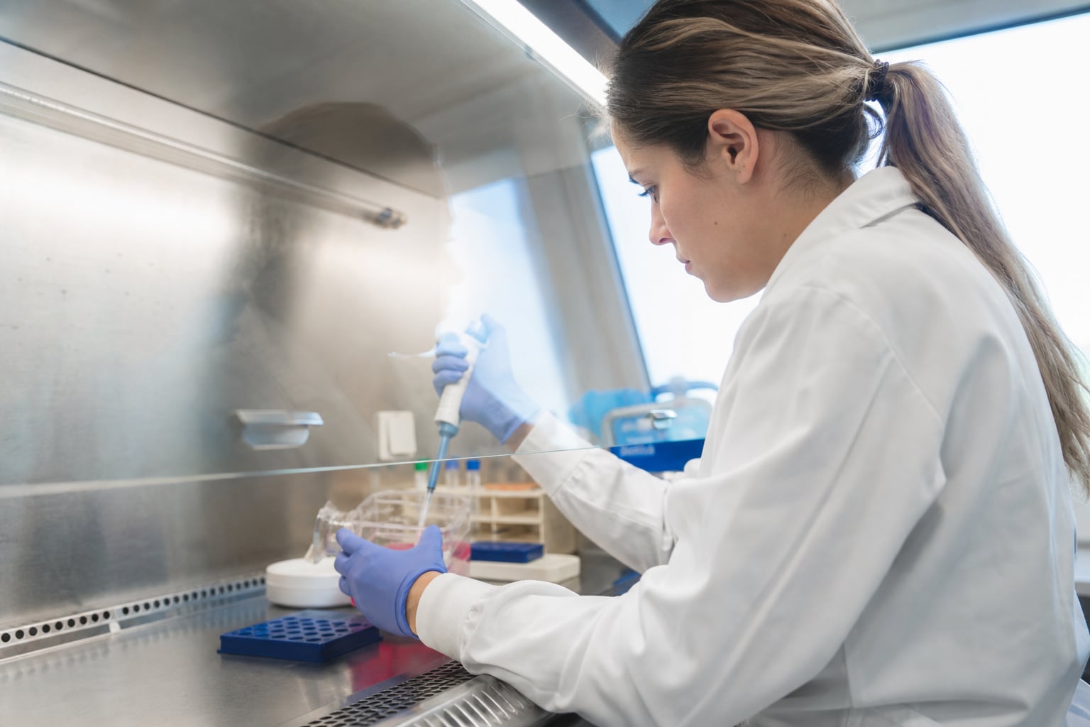 Technicienne en laboratoire observant des cultures cellulaires sous une hotte de sécurité biologique