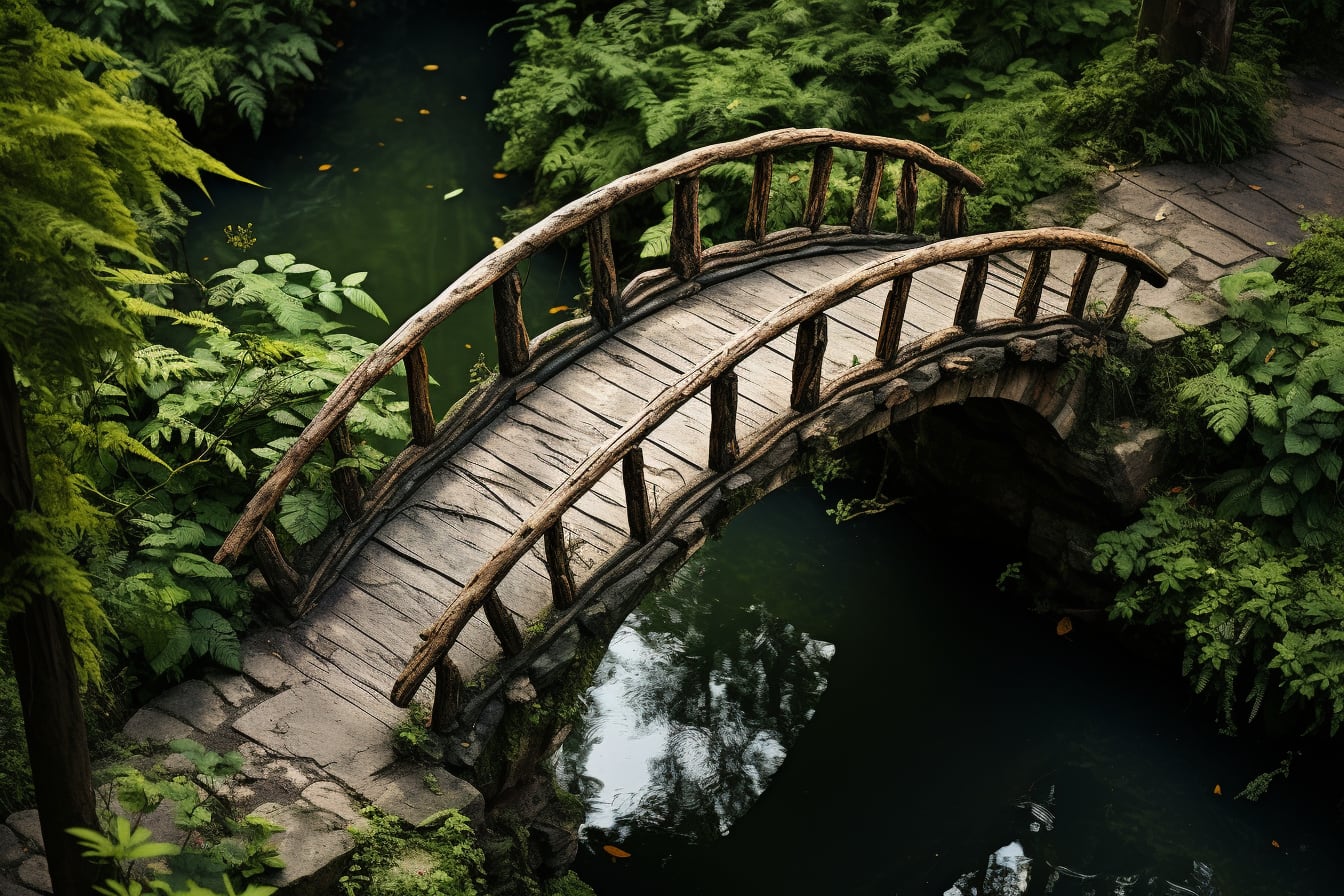 Petit pont de jardin en bois franchissant un bassin paysager entouré de végétaux
