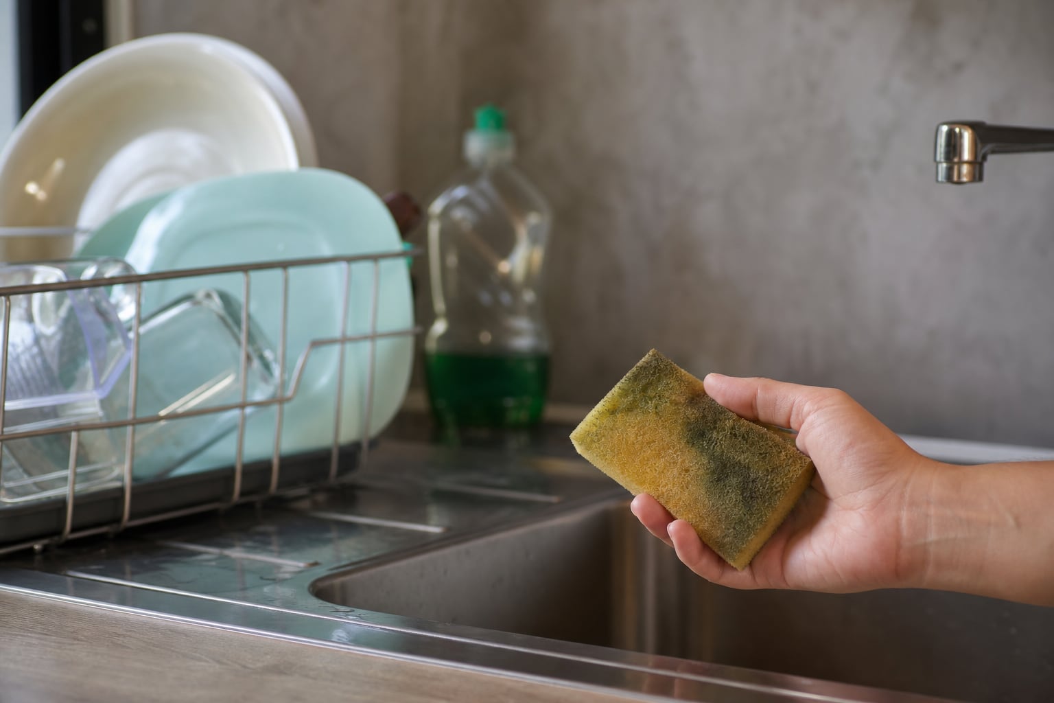 Éponge de cuisine humide posée au bord d'un évier, à côté d'un porte-éponge en inox