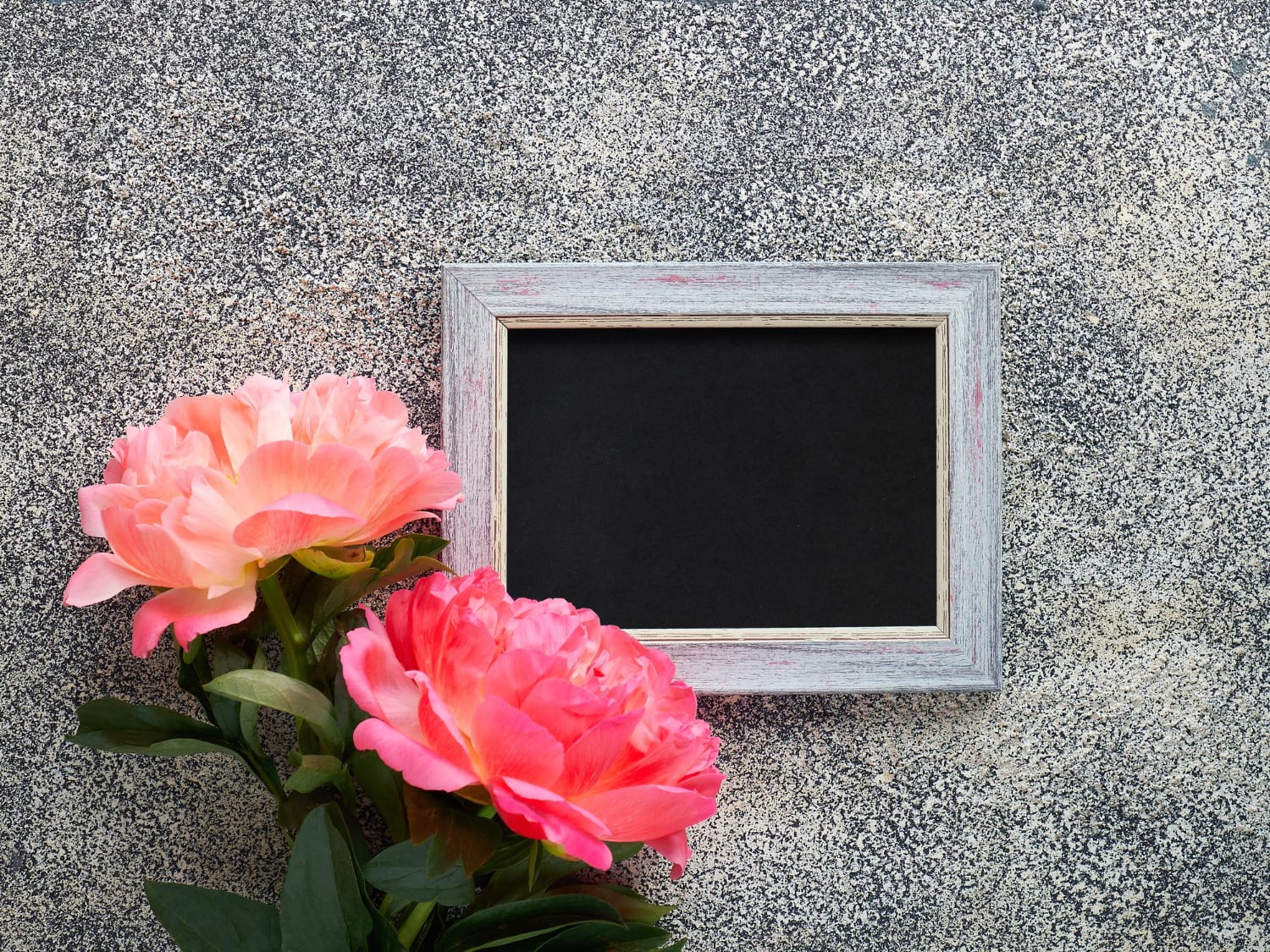 Plaque funéraire gravée posée sur un monument en granit dans un cimetière